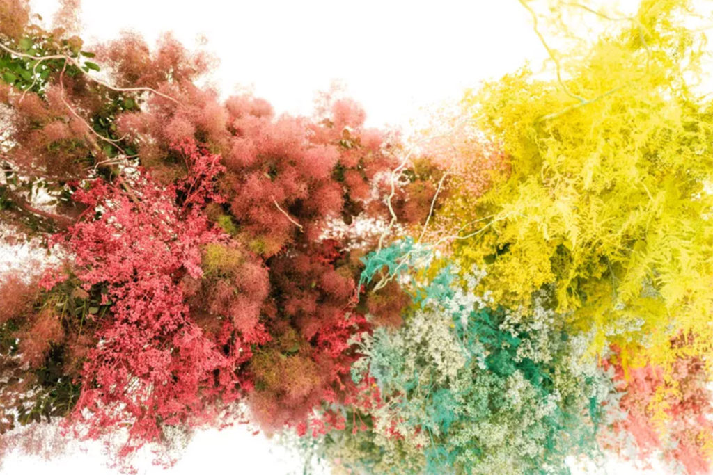 Fiori secchi, tra le nuove tendenze matrimonio